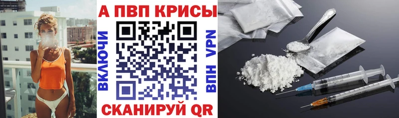 Альфа ПВП СК  Тотьма 
