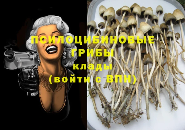 спиды Покров