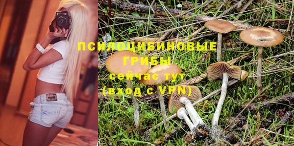 прущие грибы Балахна