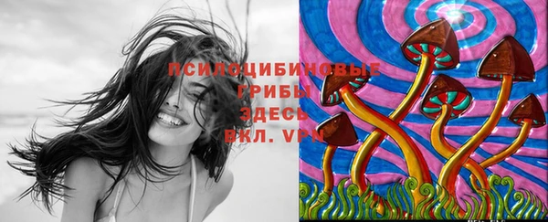 крисы Покровск