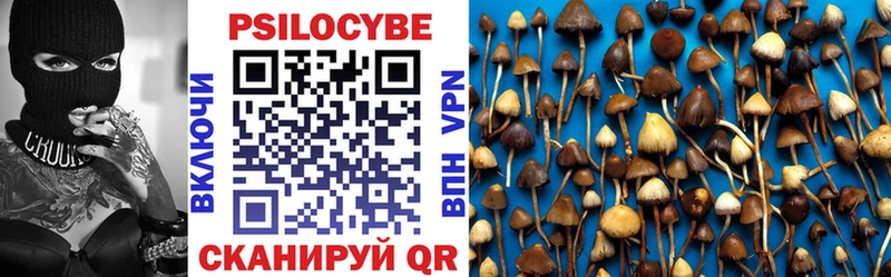 Галлюциногенные грибы MAGIC MUSHROOMS  Тотьма 